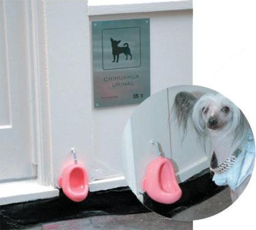 Honden toilet