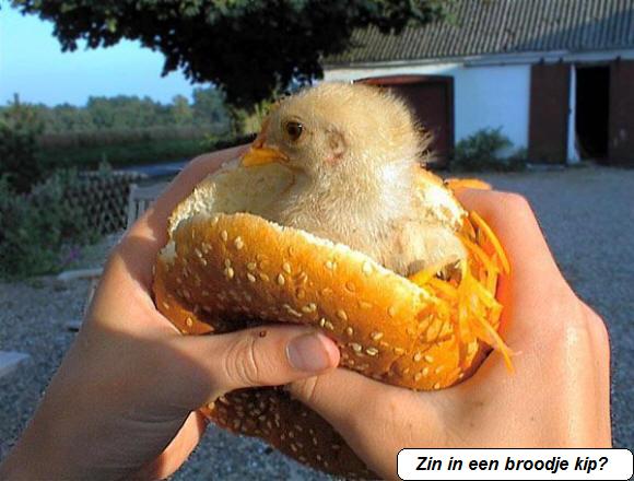 Trek in een kip burger?