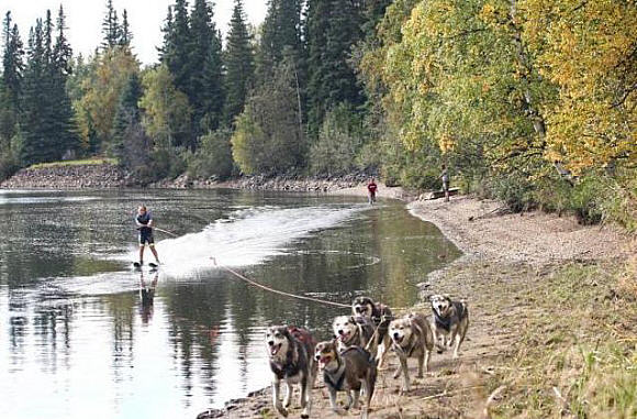 Waterskien met je honden